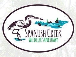 Spanish Creek Wild Life Sanctuary/ Rancho Dolores environmental Development Company Limited