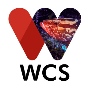 WCS Belize